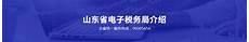 山东电子税务局手机版
