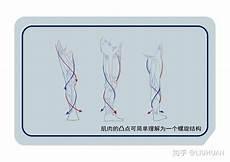 描写腿部动作的词语