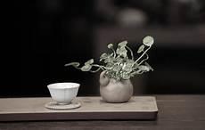 生发好听的茶名