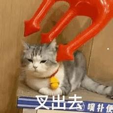 文轩各种mono猫弄